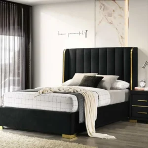 Phoenix Black